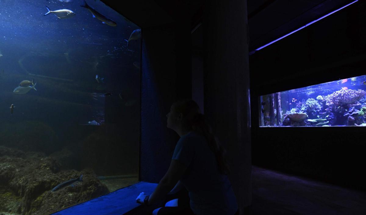 Una guía del acuario observa uno de los tanques de la sala principal del centro