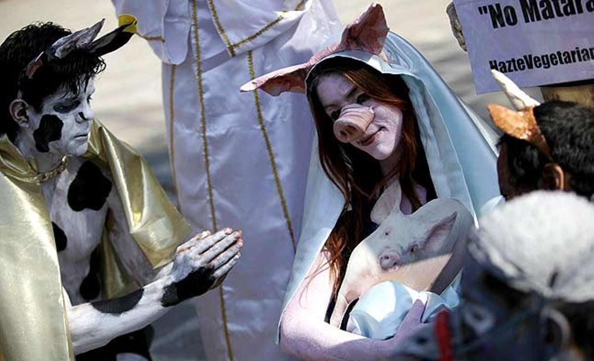 Activistes del grup dels drets dels animals AnimaNaturalis representen un pessebre disfressats d’animals per promoure el vegetarianisme a la Ciutat de Mèxic (Mèxic).