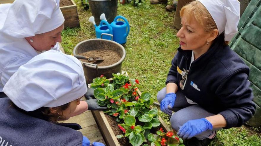 Alumnas do taller de emprego durante a plantación