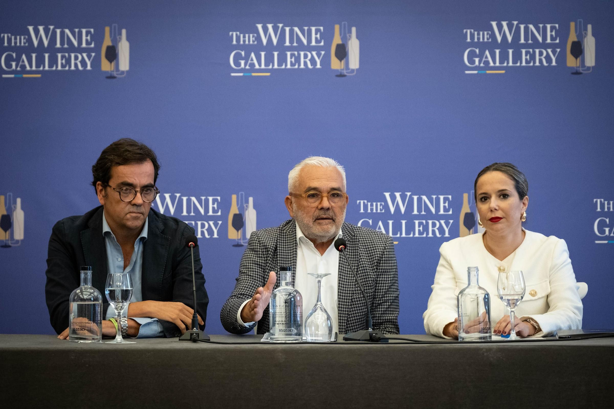 Presentación de The Wine Gallery
