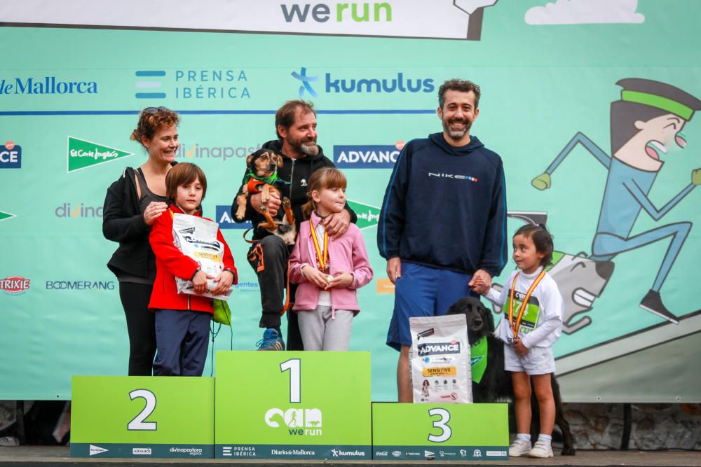 Can We Run Mallorca: So war das Hunderennen