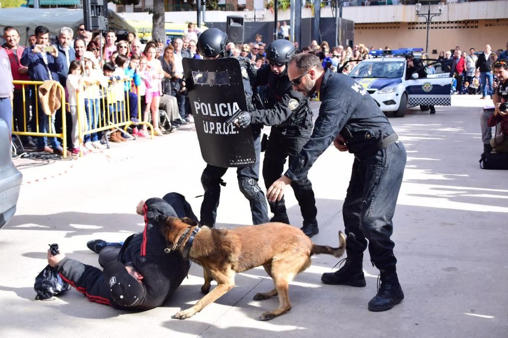 Exposición militar en Bigastro