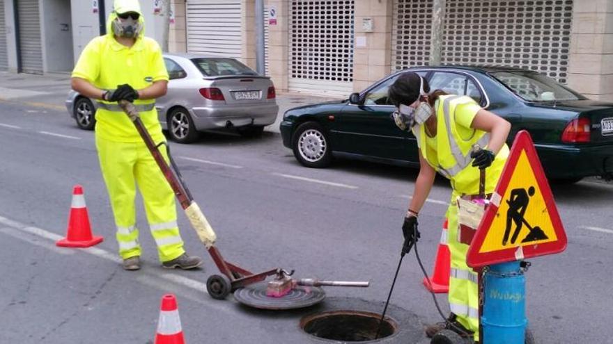 El Ayuntamiento desarrolla  un programa anual con diversas actuaciones