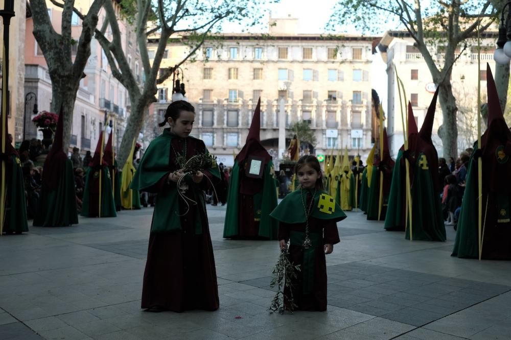 Procesión del Domingo de Ramos en Palma