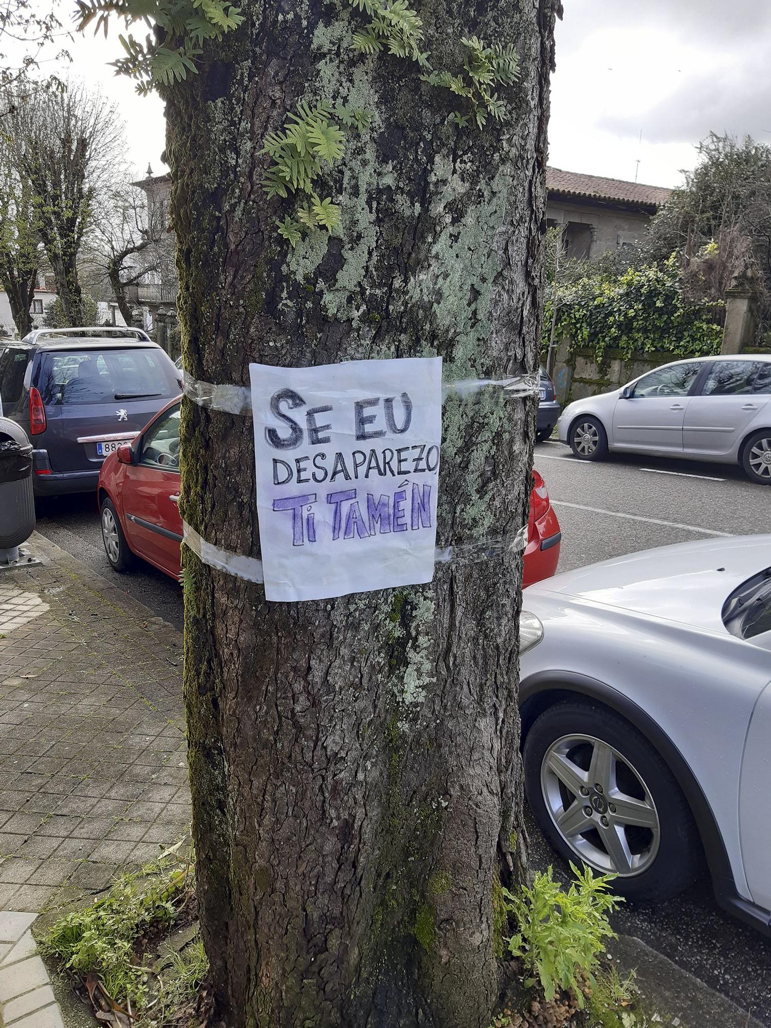 "¡Viva Vigo con árbores!": campaña vecinal contra las talas