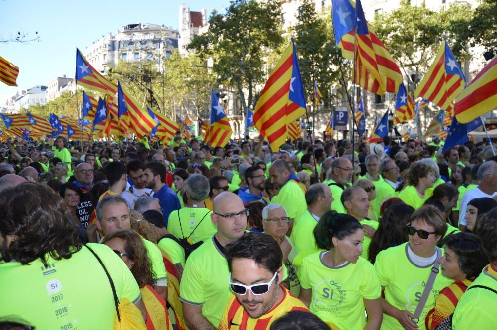 Berguedans a la concentració de la Diada