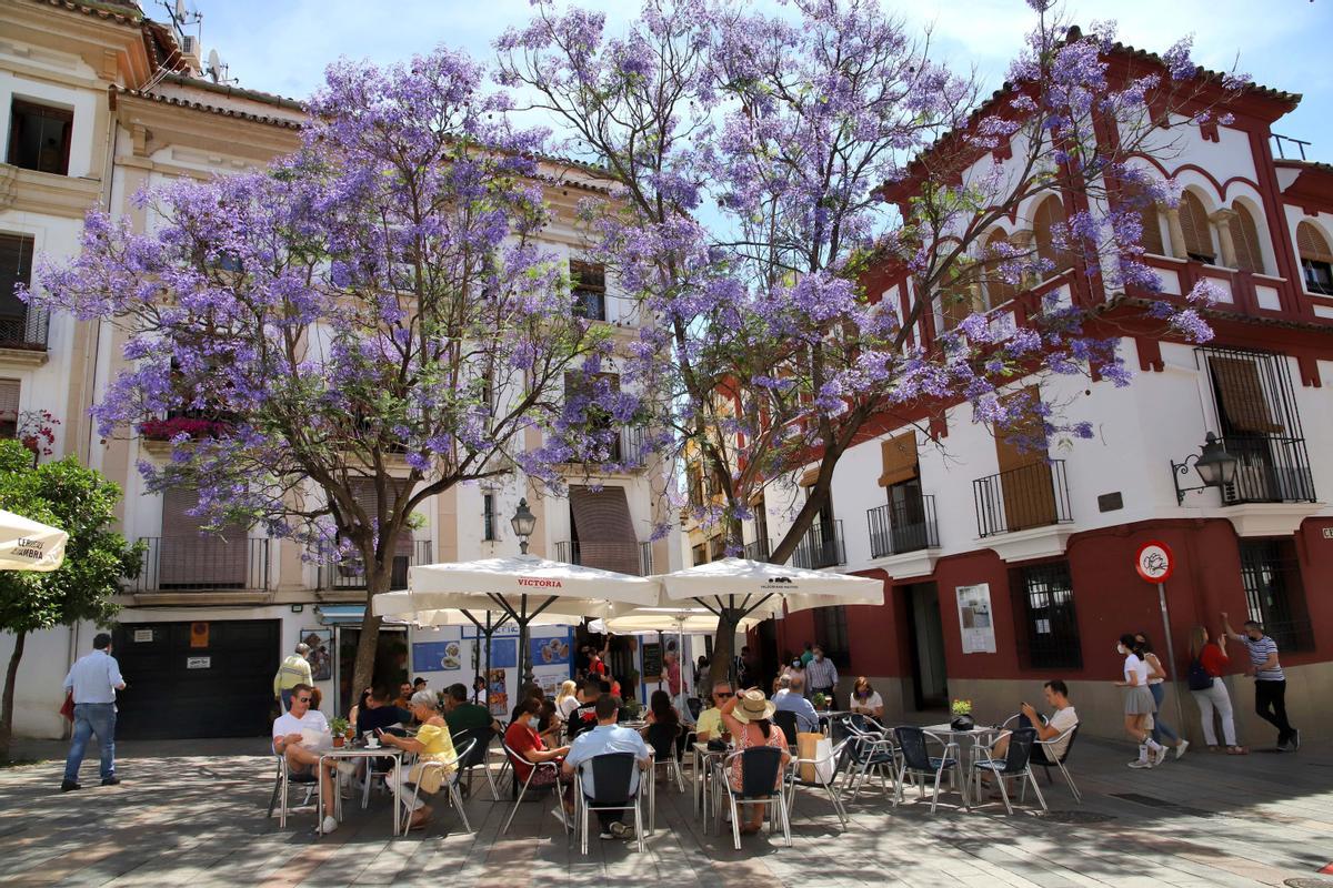La ciudad vuelve a la vida