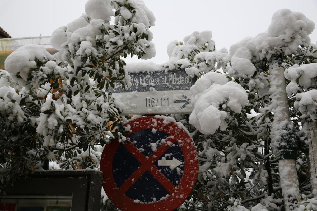 La nieve llega a Barcelona: Collserola, cubierta de blanco