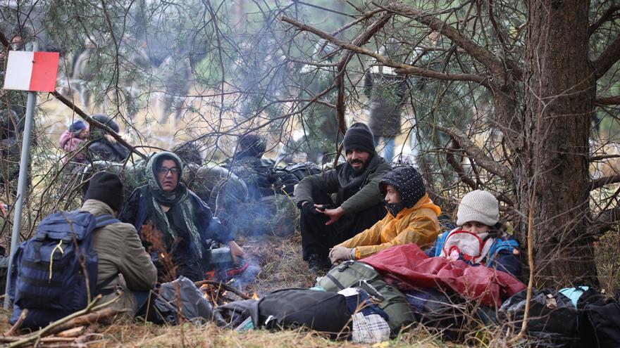 Refugiados bielorrusos pugnan por entrar en la UE, a través de la frontera polaca