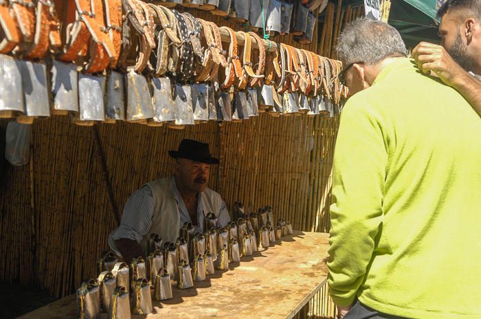 DIA DEL TURISTA. FIESTA DEL ALMENDRO EN FLOR EN ...