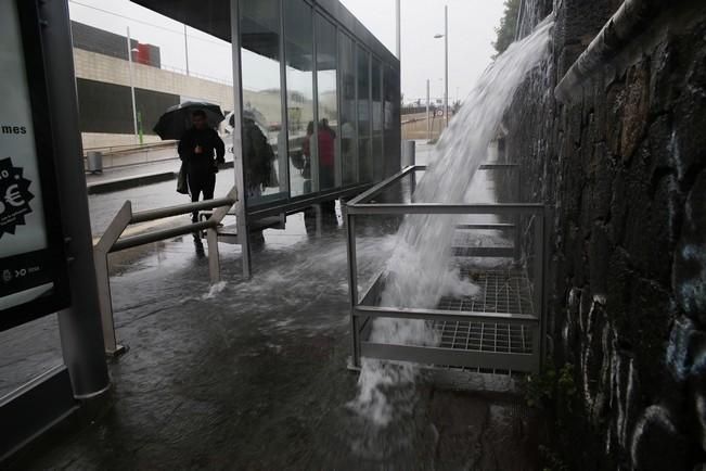 Delia Padrón lluvias , temporal , barrancos ...