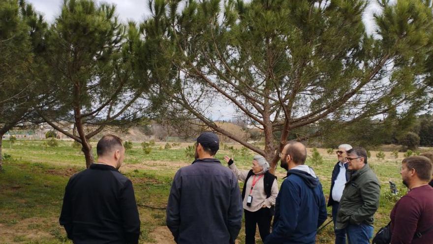 Agricultores de Formentera visitan fincas ecológicas