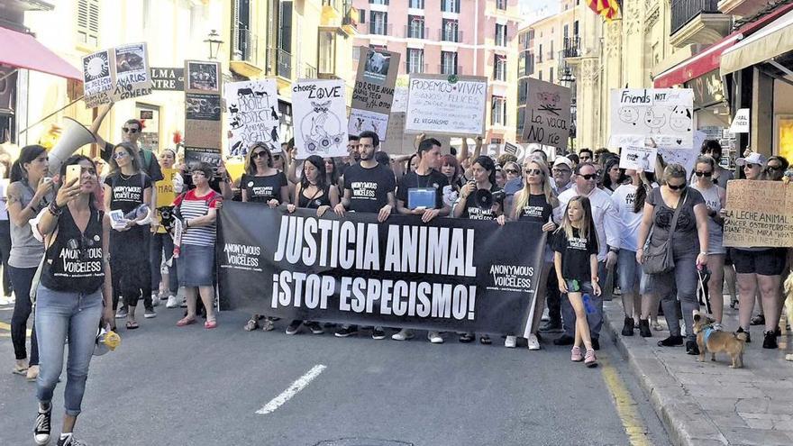 Protesta de los animalistas en Palma