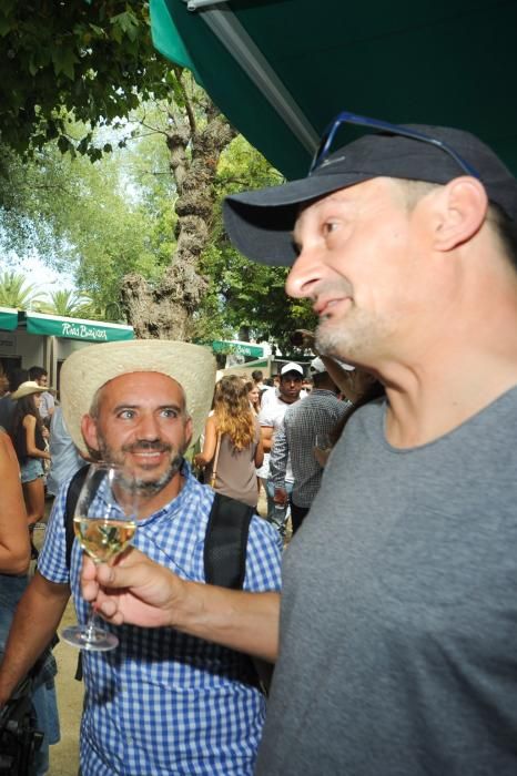 Arranca la Festa do Albariño 2017