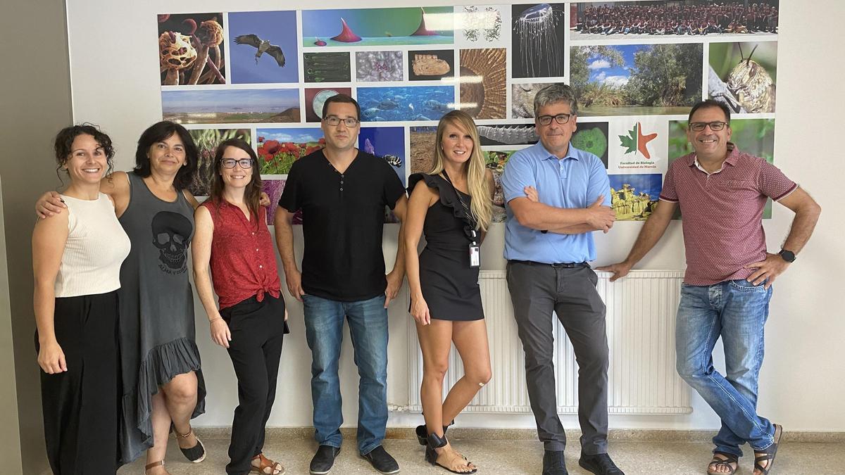 Investigadores/as implicados en el artículo