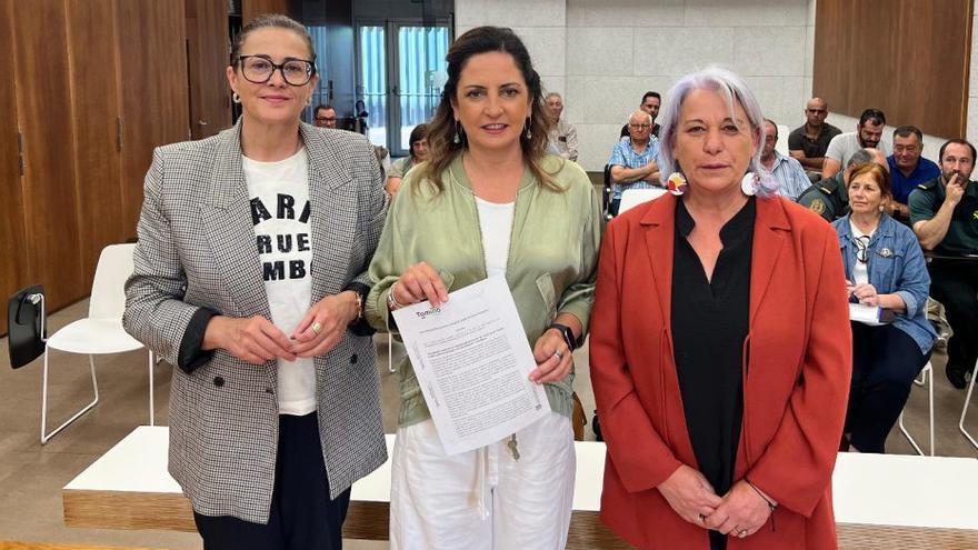 Tomiño propone a la Xunta elaborar un proyecto piloto contra la plaga de moscas