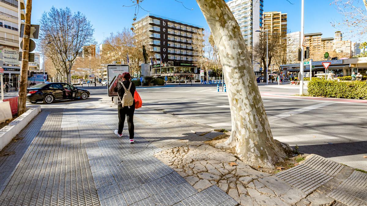 Estado de una de las aceras de la avenida hacia el Rincón de Loix de Benidorm.