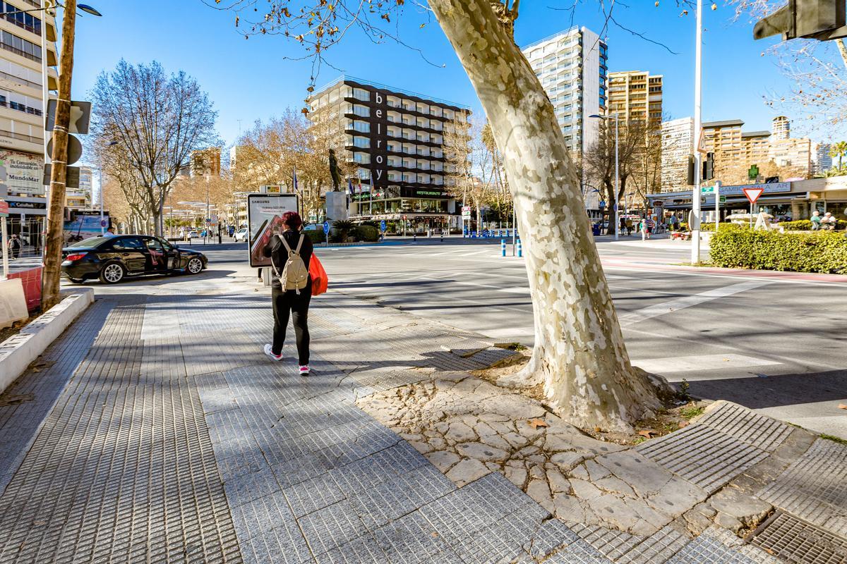 Estado de una de las aceras de la avenida hacia el Rincón de Loix de Benidorm.