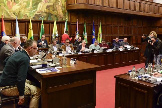 Asamblea de Alcaldes de Gran Canaria para tratar el Fdcan