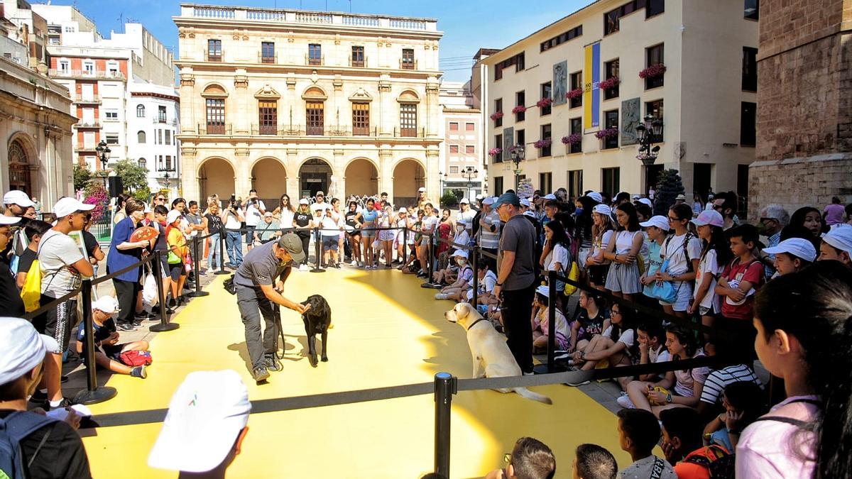 Centenares de escolares han acudido a la plaza Mayor.