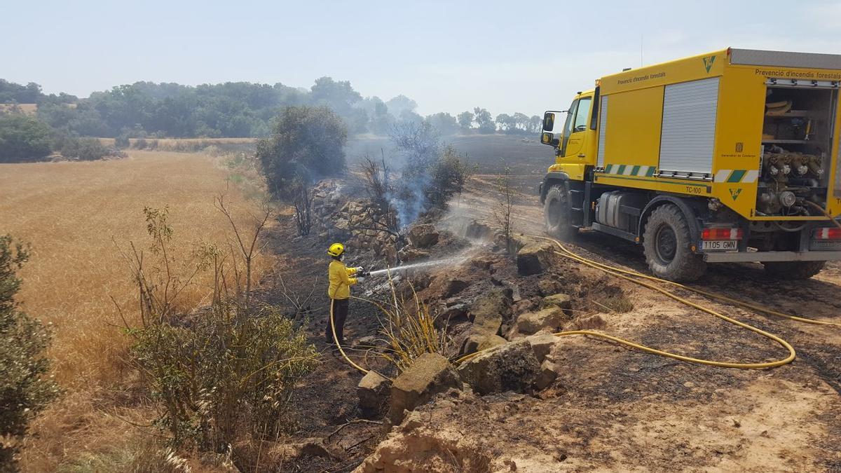 Un incendi originat pels treballs de recol·lecció del cereal