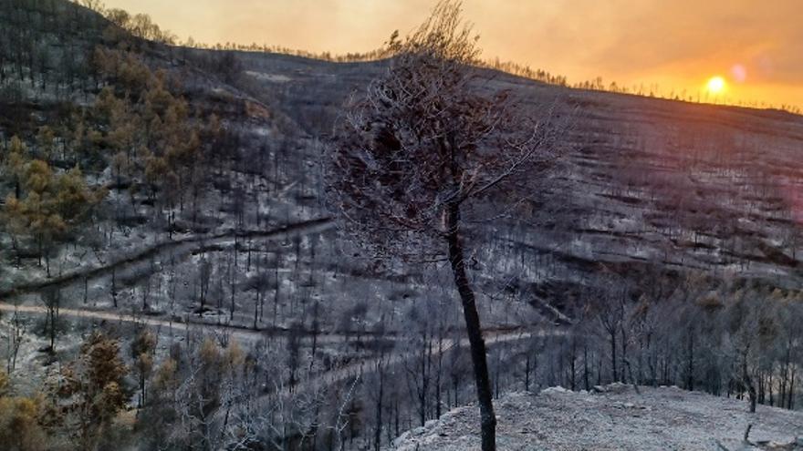 El paisatge del Bages, cremat després del foc