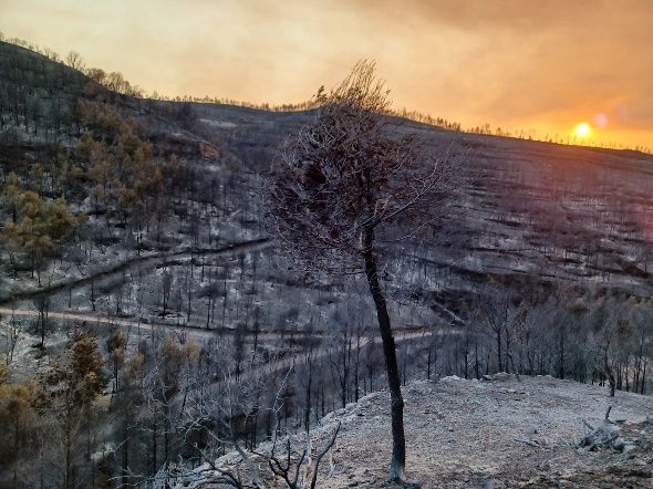 El foc envolta de cendra les tines de la Vall del Flequer