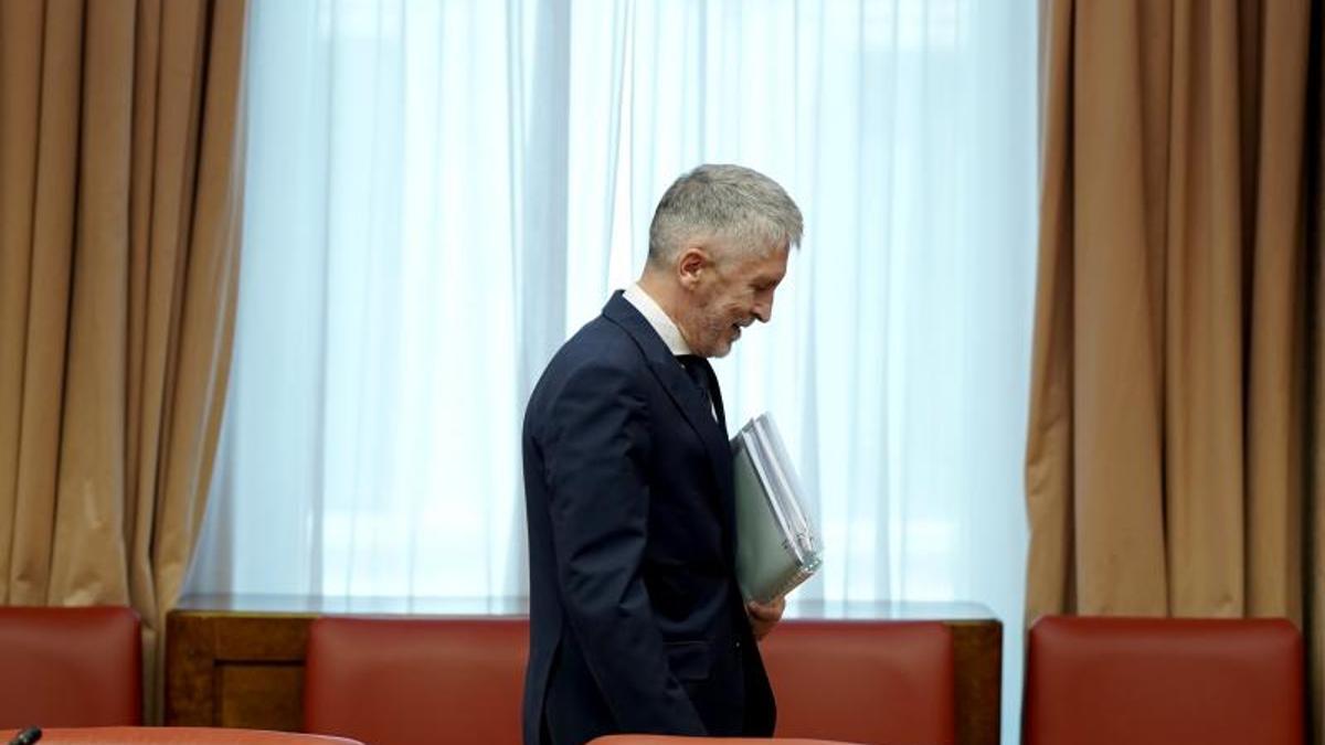 Fernando Grande-Marlaska, ministro del Interior.