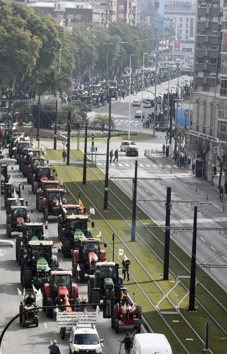 Así ha sido la manifestación de los agricultores en Murcia (II)