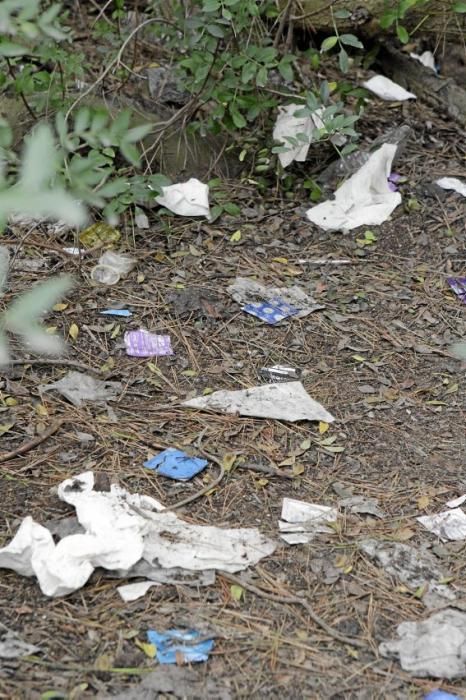 In Es Carnatge, dem letzten unverbauten Küstenabschnitt Palmas, aasten einst die Geier. Nun soll hier ein Park entstehen.