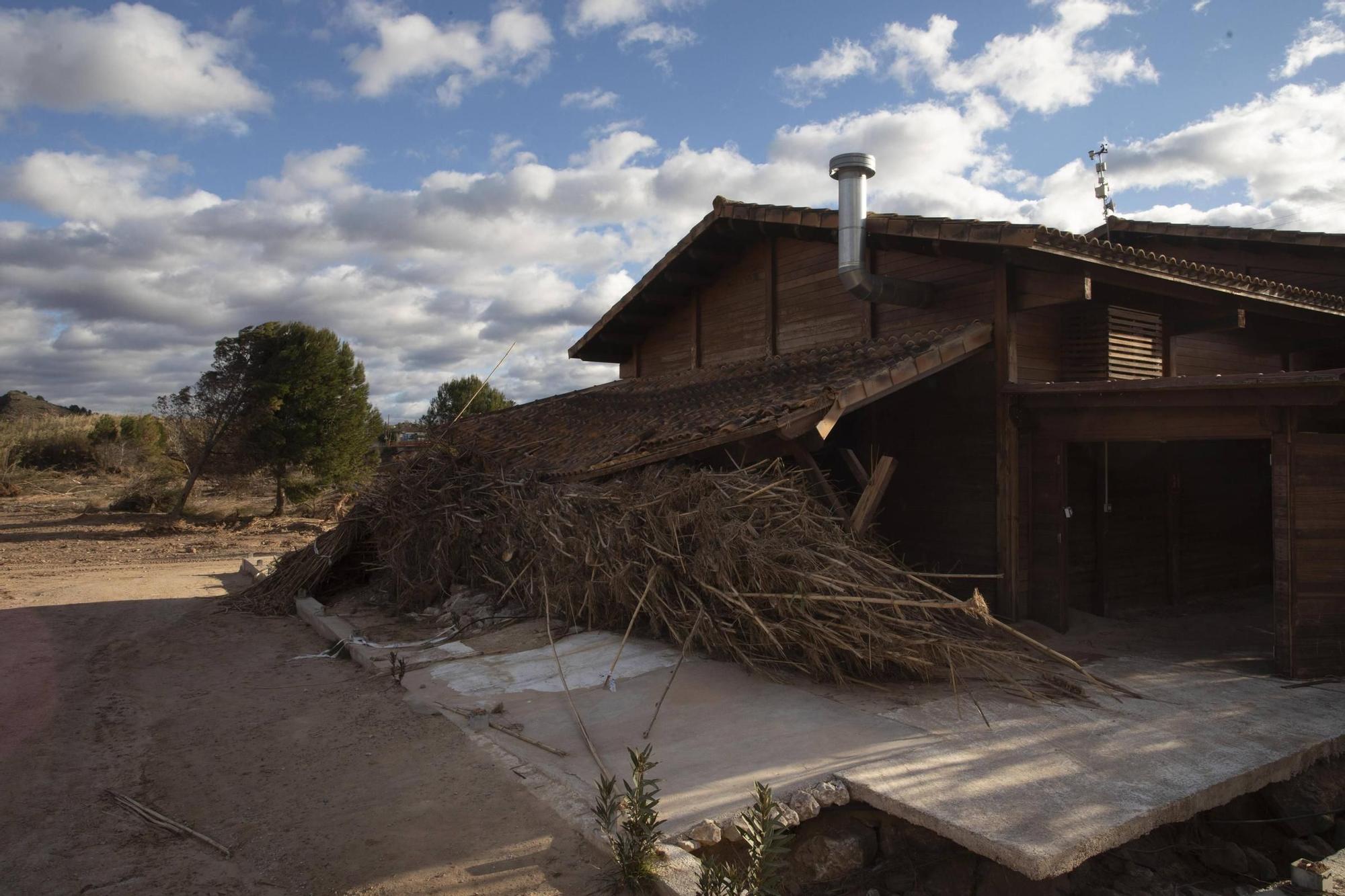 El Parc Natural del Túria, tres meses después de la dana: Un largo camino para la recuperación