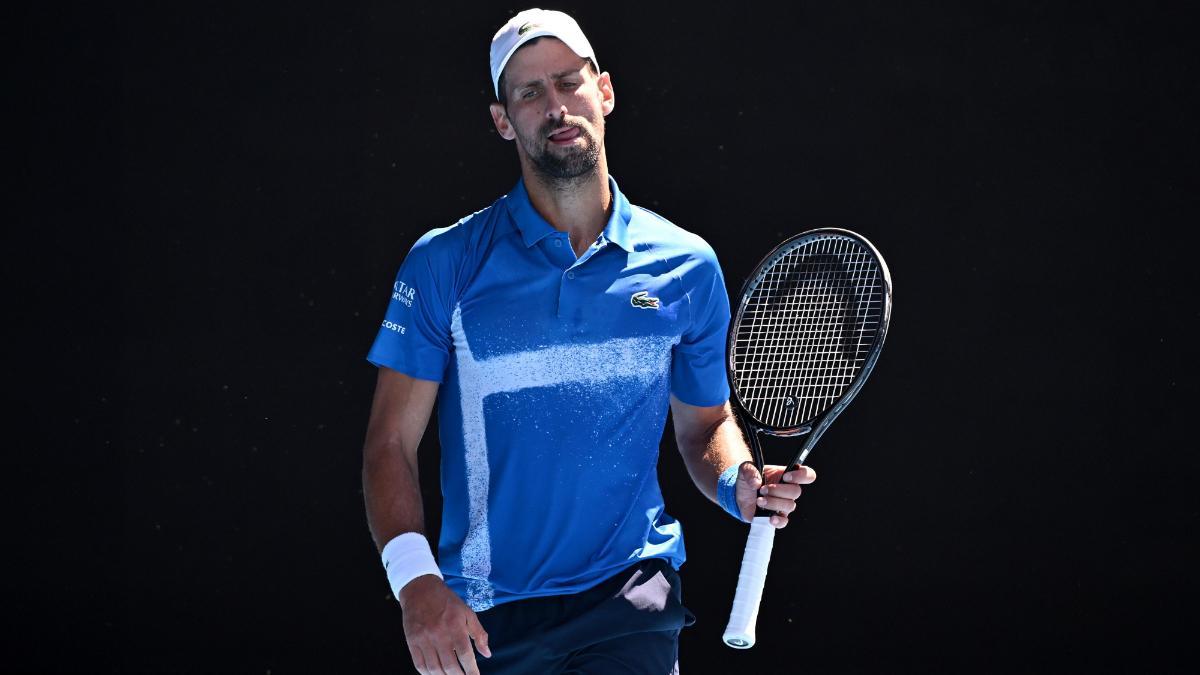 Djokovic, baja en la Copa Davis por una lesión en el tendón