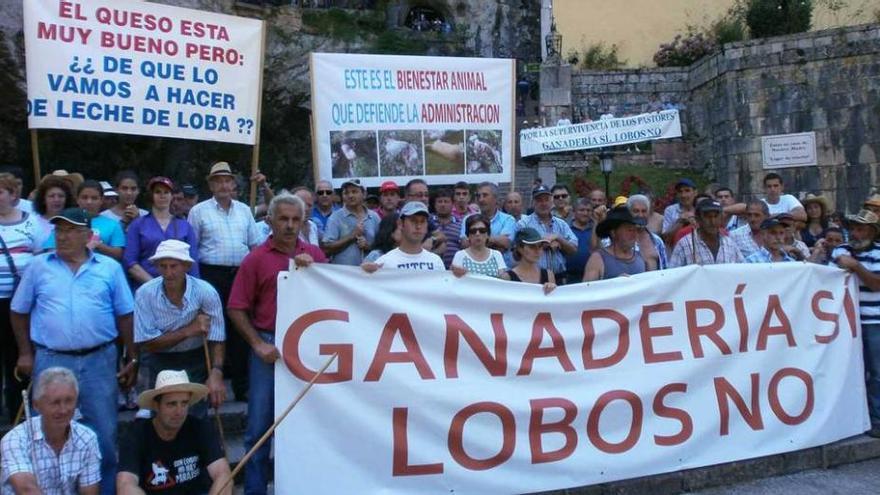 Manifestación contra el lobo celebrada en 2013 en Covadonga.
