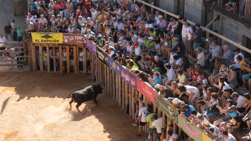 Accidentado encierro en Fermoselle