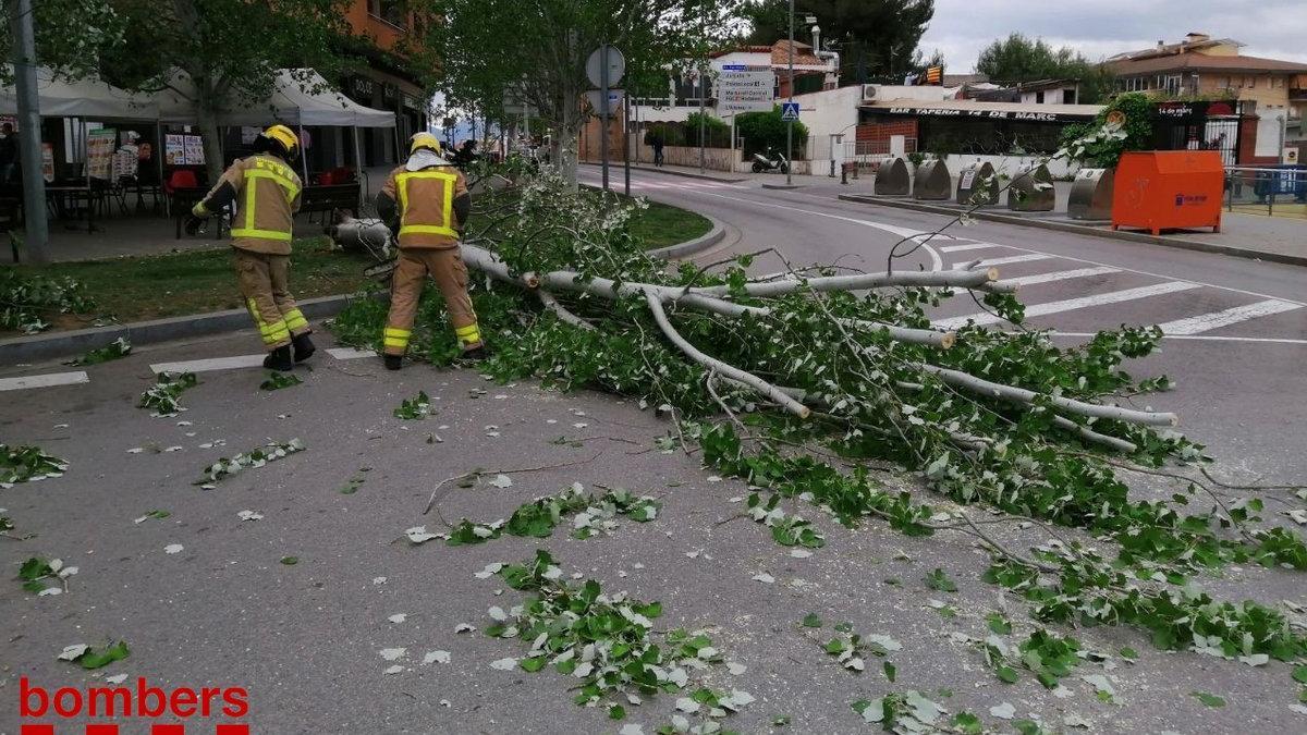 Dos bombers retiren branques caigudes en un vial a causa d&#039;una tempesta de vent i pluja