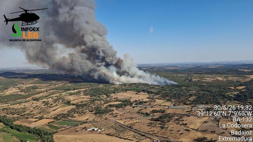 Video | Extremadura concentra cuatro de los diez grandes incendios forestales de España antes de julio
