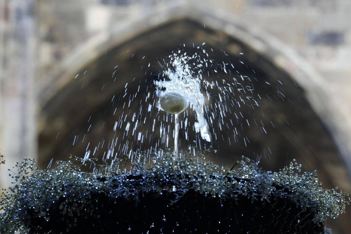 Barcelona 20/06/2025 Lou com balla, ahora con agua nuevamente. en la foto, claustre de la catedral de Barcelona Fotografía de Ferran Nadeu