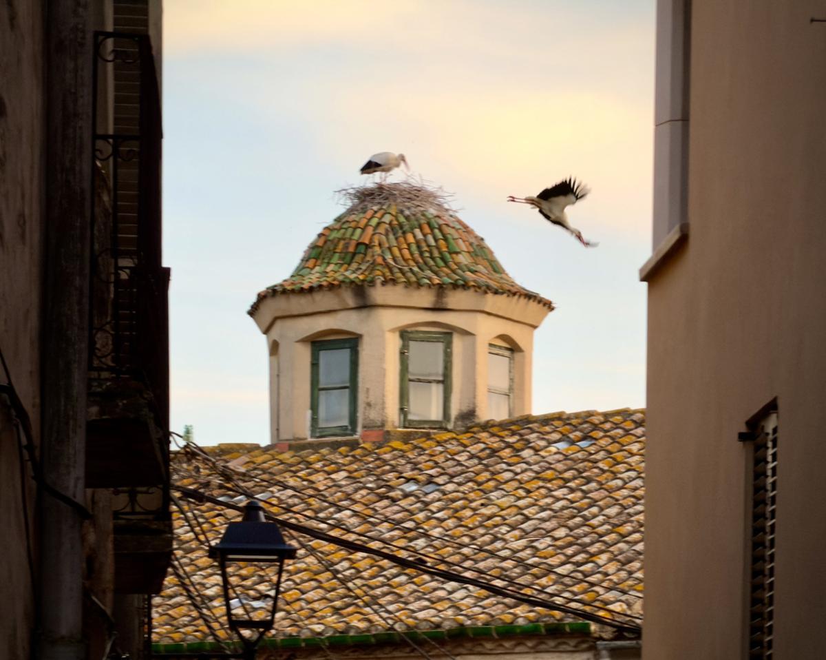 Casco antiguo de Peralada.