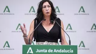 Andalucía solo acogerá a menores migrantes procedentes de Canarias si recibe financiación