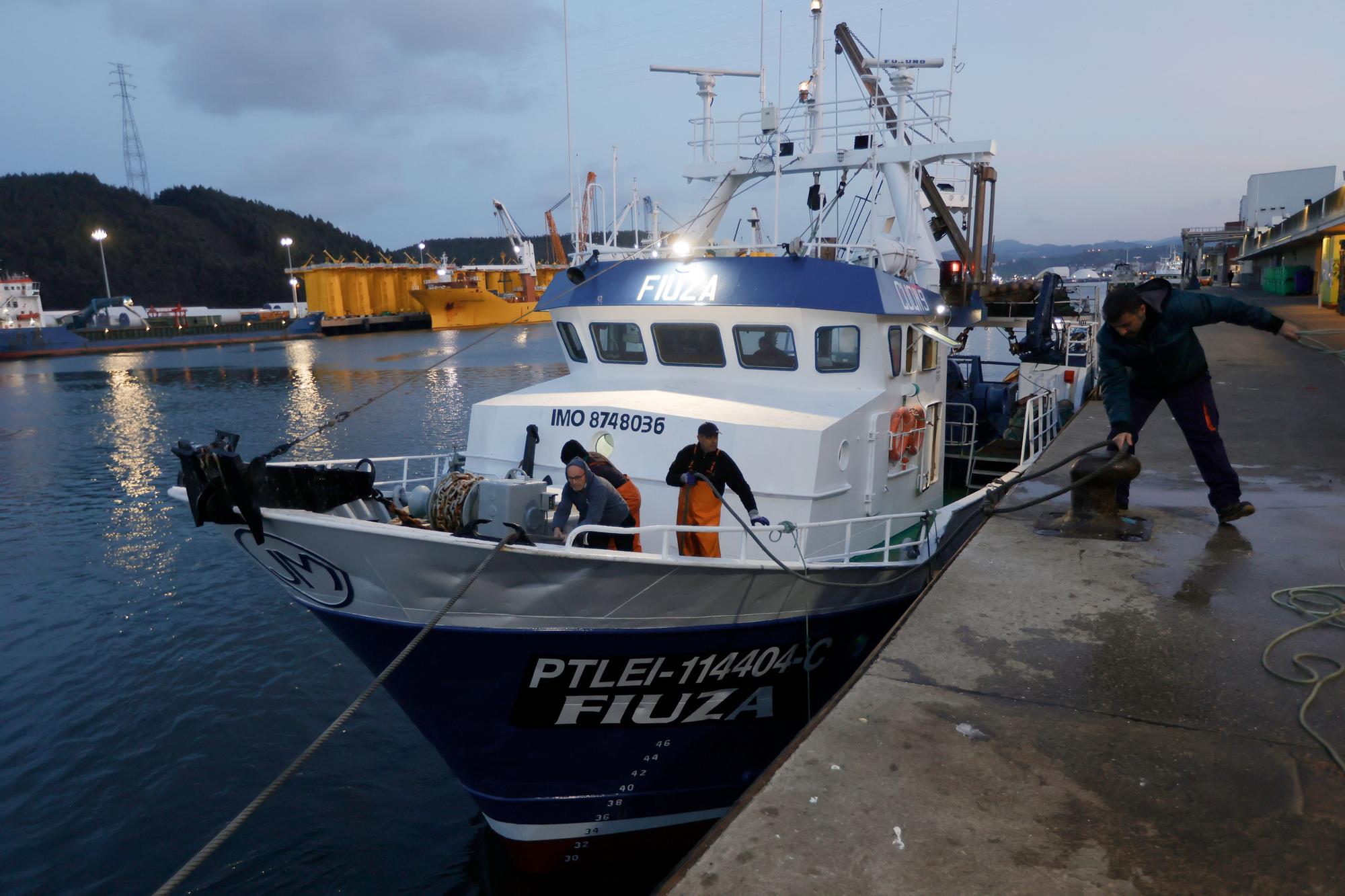 EN IMÁGENES: las primeras xardas del año llegan a Avilés