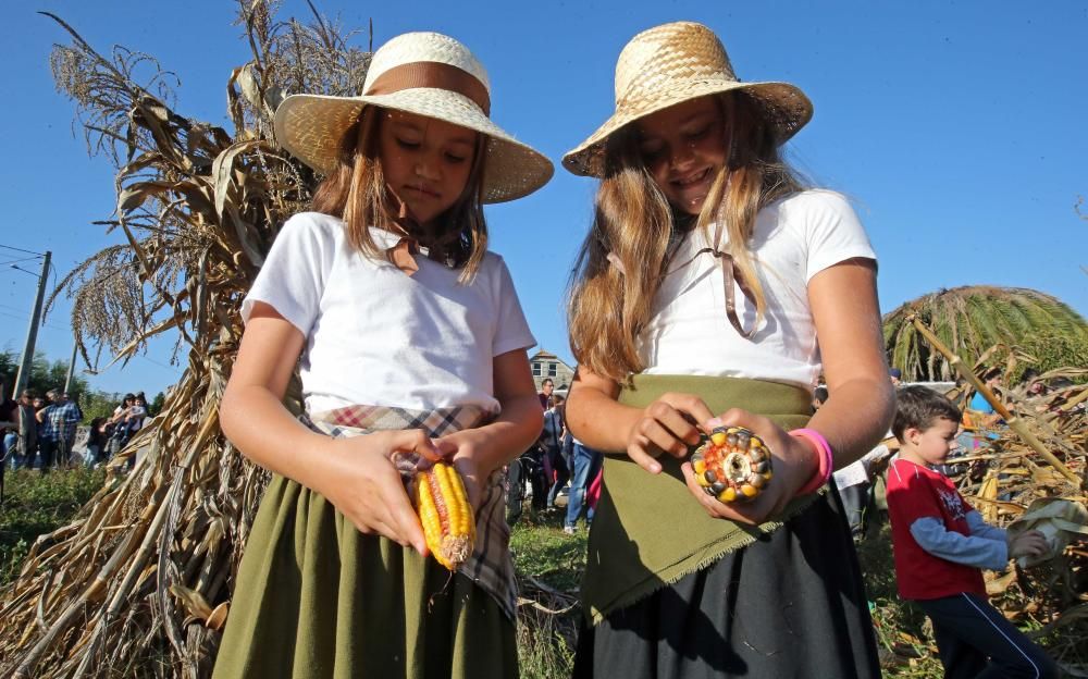 Cientos de vecinos de acercan al entorno del molino de Regueira para disfrutar de una jornada tradicional