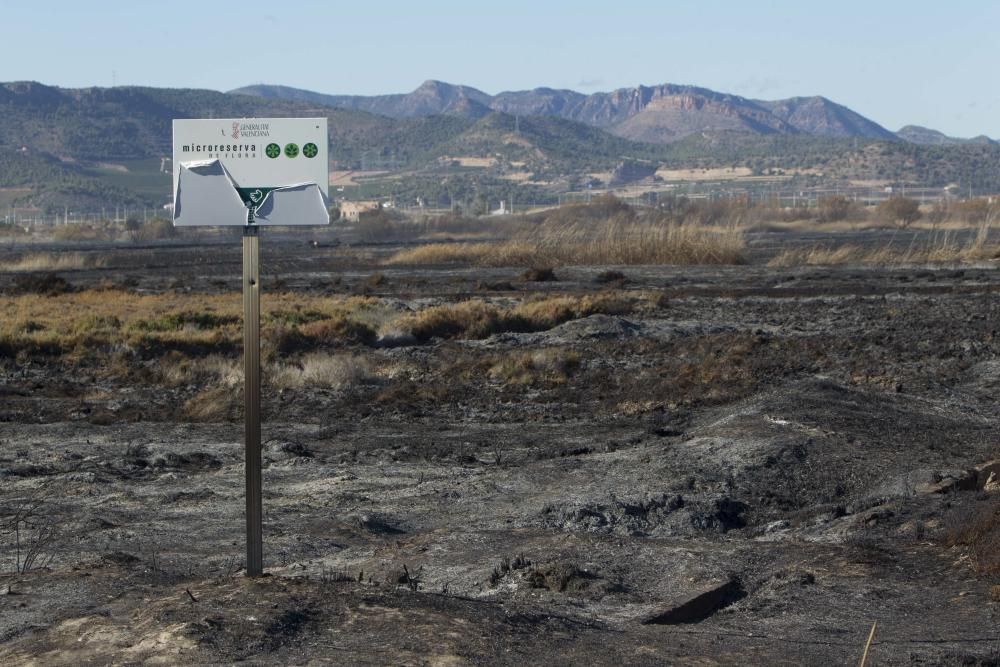 La Marjal dels Moros tras el incendio