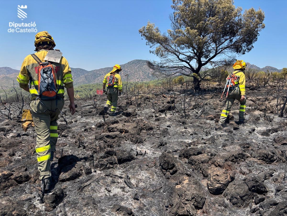 Bomberos recorriendo zonas ya calcinadas y sin llamar ayer lunes.