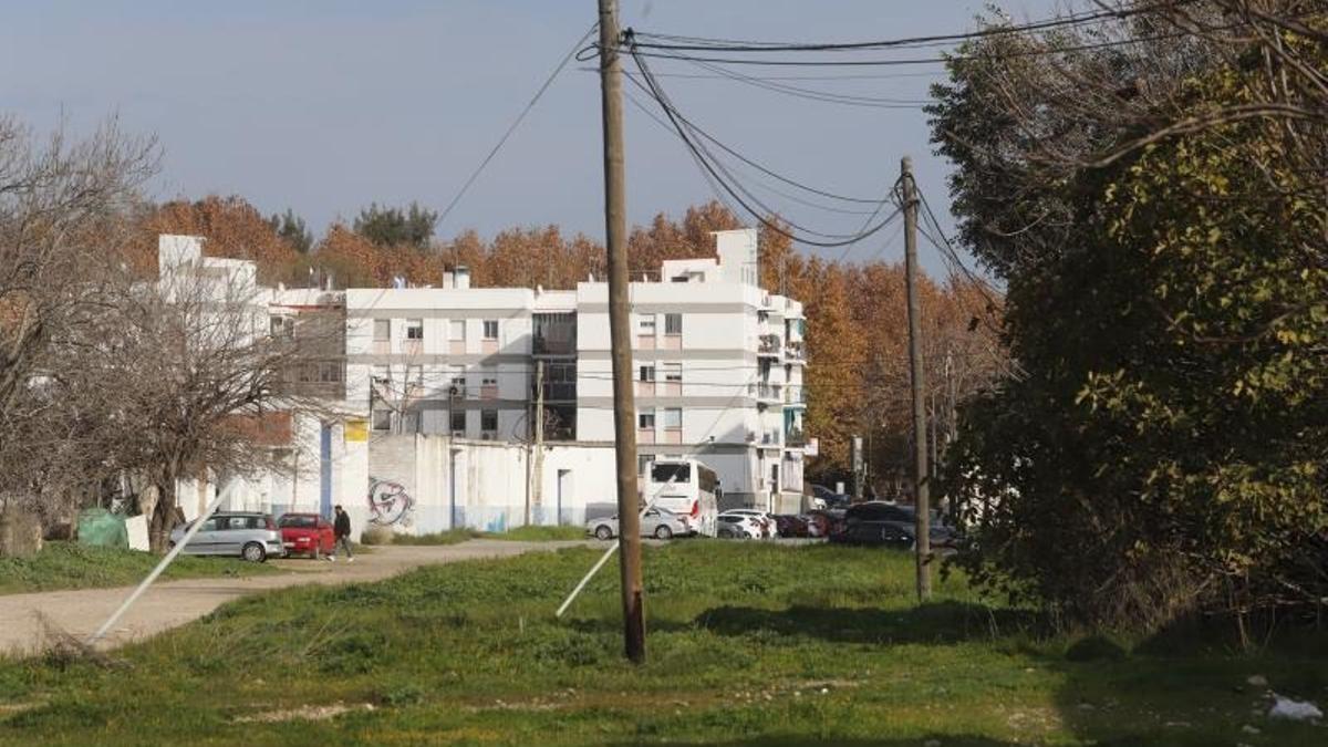 Vista general de terrenos del Cordel de Écija en Córdoba.