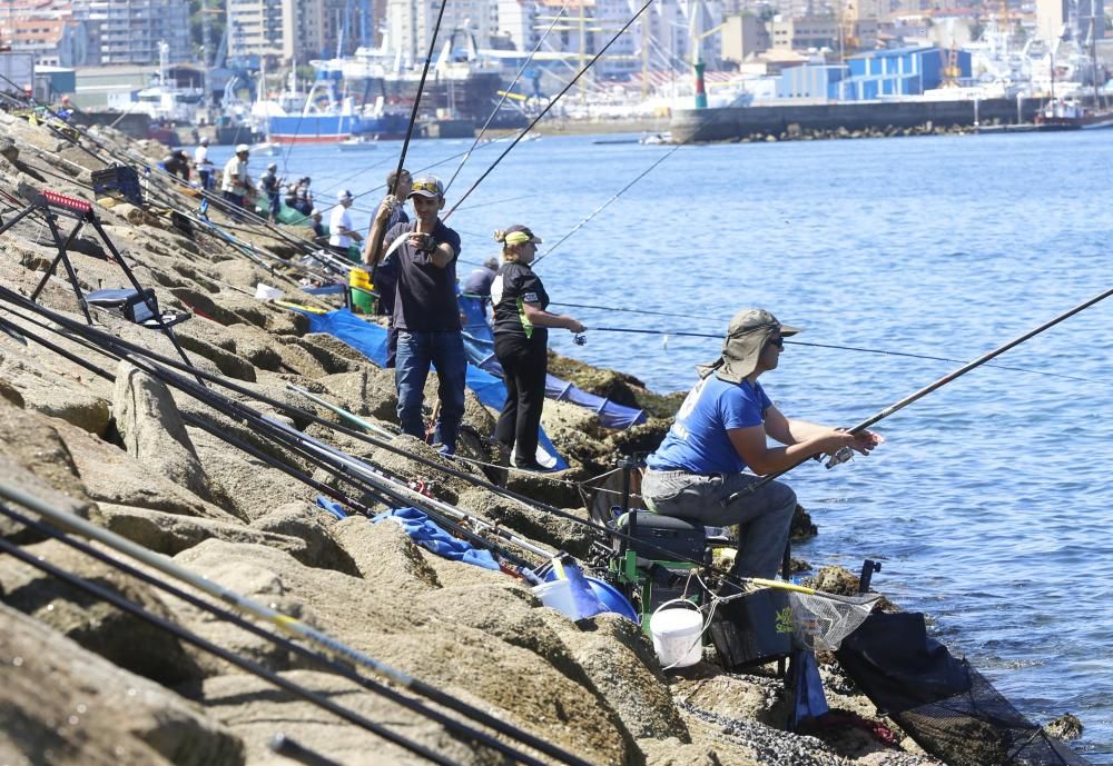 Los pescadores de caña baten récords de capturas en Vigo