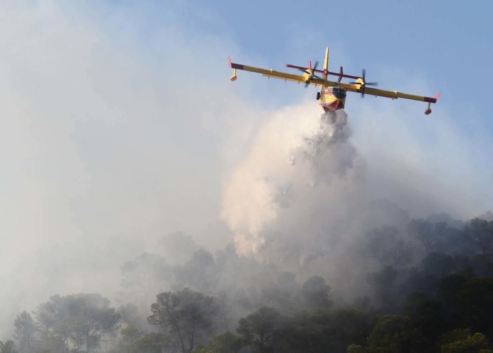 Efectivos y vecinos apagando el fuego