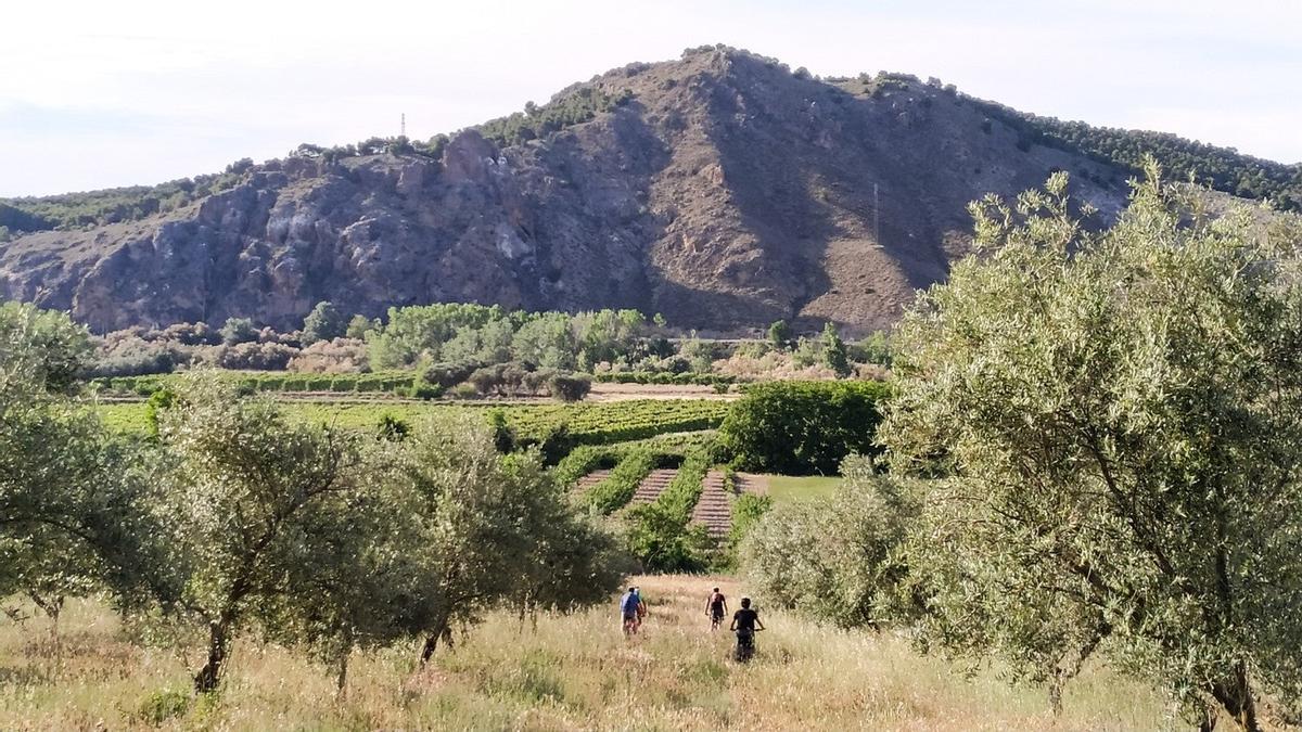 Roscas de Fitero y vega del Alhama
