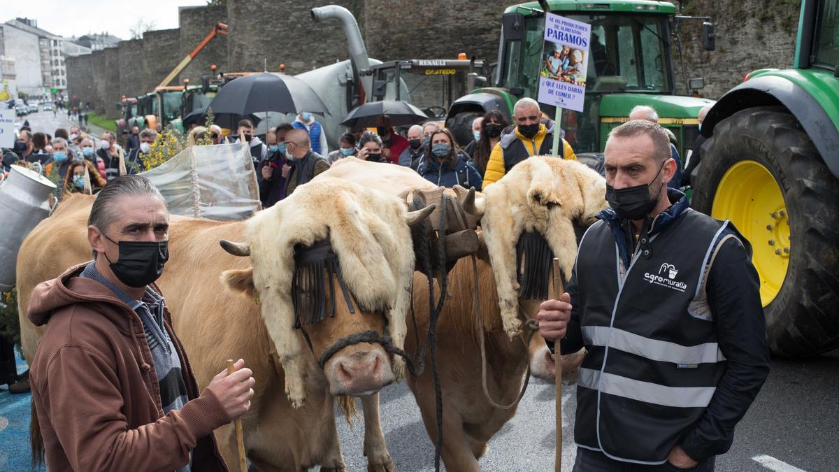 Tractorada convocada por Agromuralla en Lugo para exigir un mejor precio para la leche.