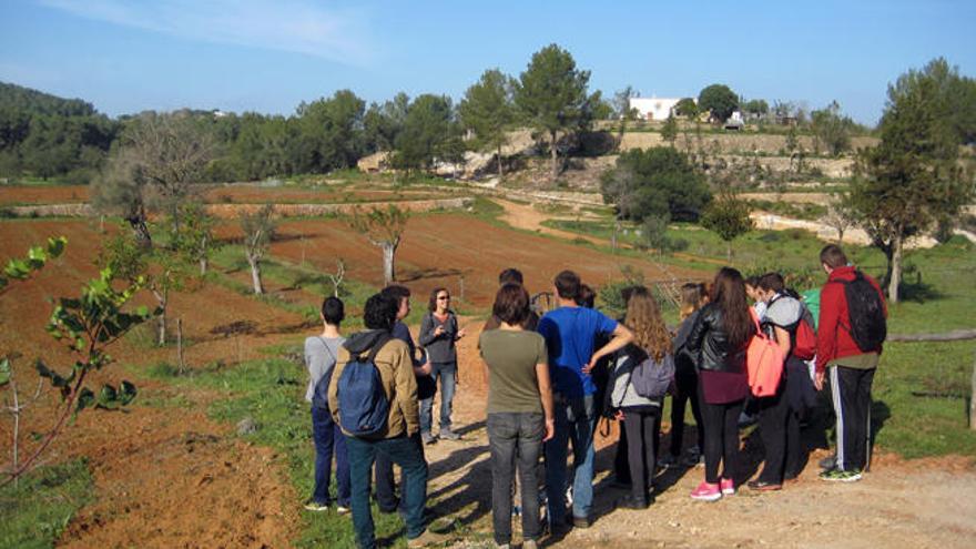 Finca de Can Toni d´en Jaume Negre, donde el GEN realiza todo tipo de tareas agrícolas y forestales.