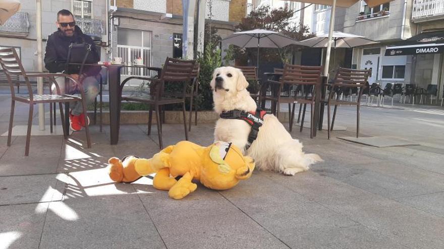 Thor y Garfield, una pareja de hecho